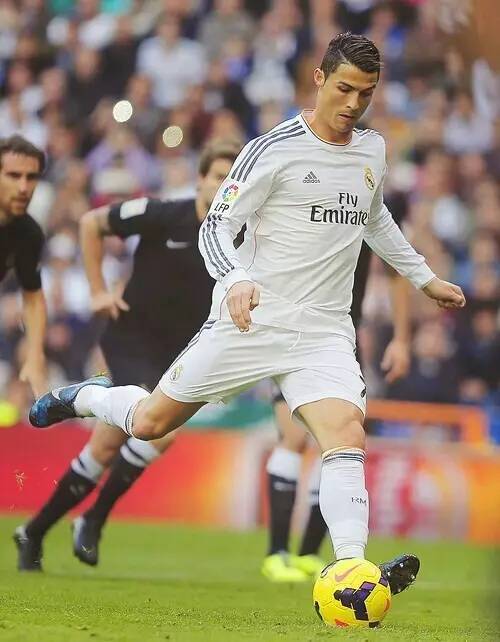 仅是对苗立 仅是对苗立